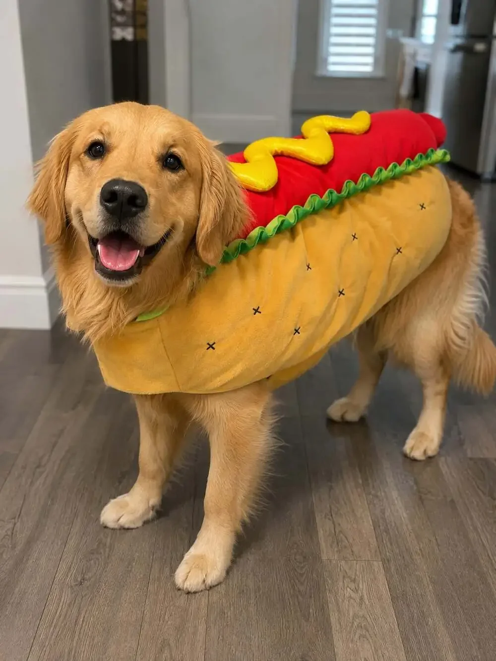 Thrills Collection Hot Dog Plush Throw Pillow Novelty Food Cushion Soft Decor